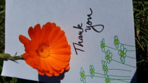 Thank you!